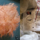 Image for article titled Gyrating Star Trek Tribble For Sale